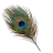 toskie
