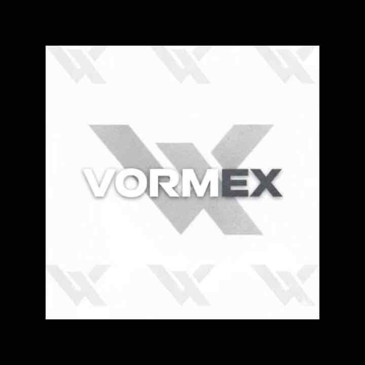Meet Vormex College full talented people problem often never find